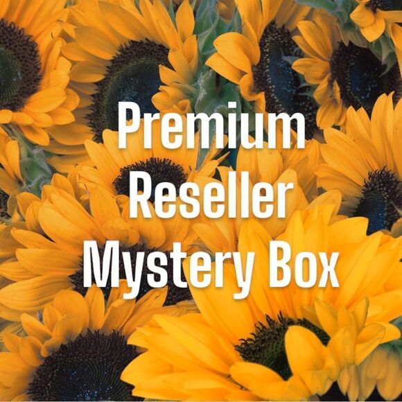 Premium Mystery Bundle: Free People, Coach, J Brand, House of Harlow Sizes XS-XL - Picture 1 of 2